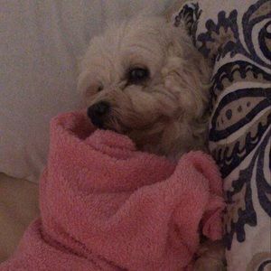 Meet your Posher, Anna